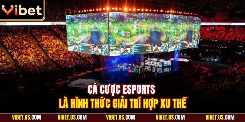 Cá cược Esports là hình thức giải trí hợp xu thế