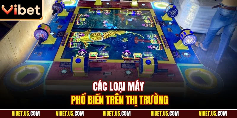 Các loại máy phổ biến trên thị trường