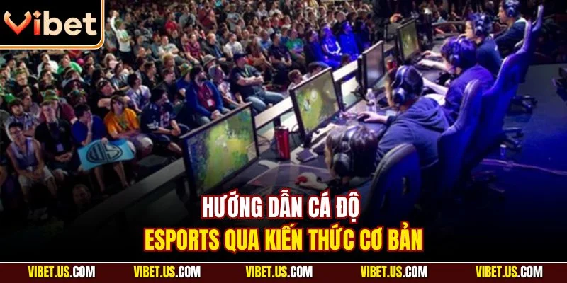 Hướng dẫn cá độ Esports qua kiến thức cơ bản