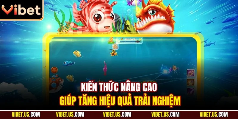 Kiến thức nâng cao giúp tăng hiệu quả trải nghiệm
