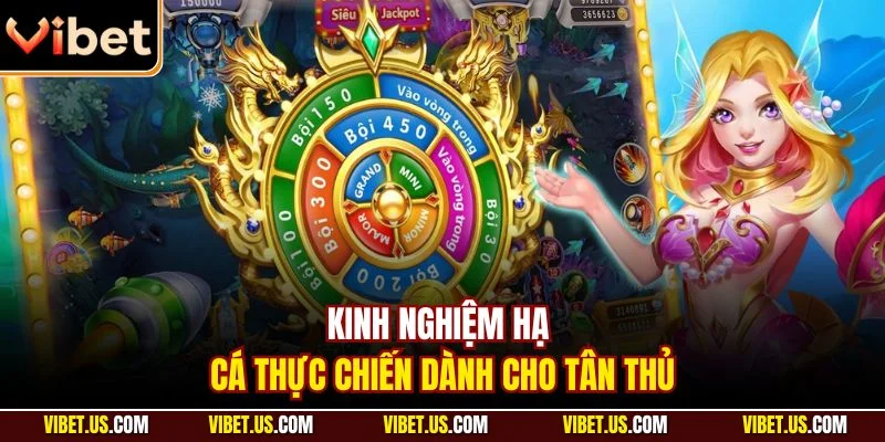 Kinh nghiệm hạ cá thực chiến dành cho tân thủ