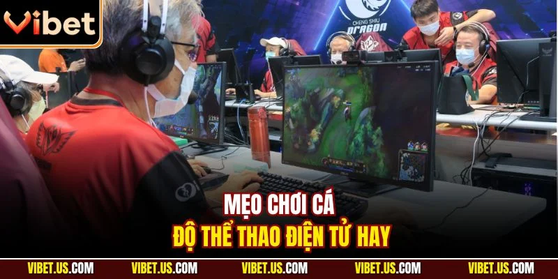 Mẹo chơi cá độ thể thao điện tử hay