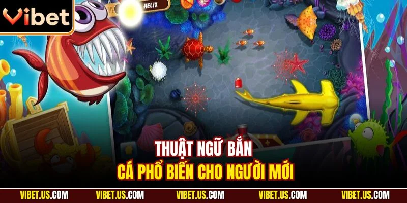 Thuật ngữ bắn cá phổ biến cho người mới