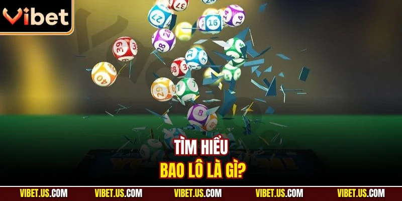 Tìm hiểu bao lô là gì?